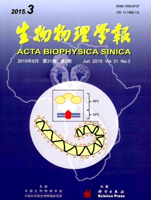 生物物理学报杂志