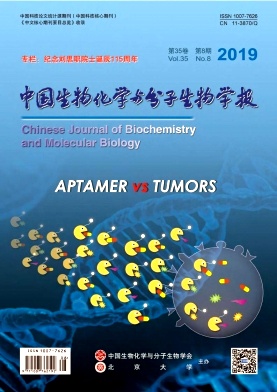 中国生物化学与分子生物学报杂志